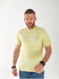 Чоловіча футболка в смужку салатового кольору