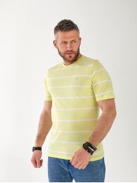 Чоловіча футболка в смужку салатового кольору